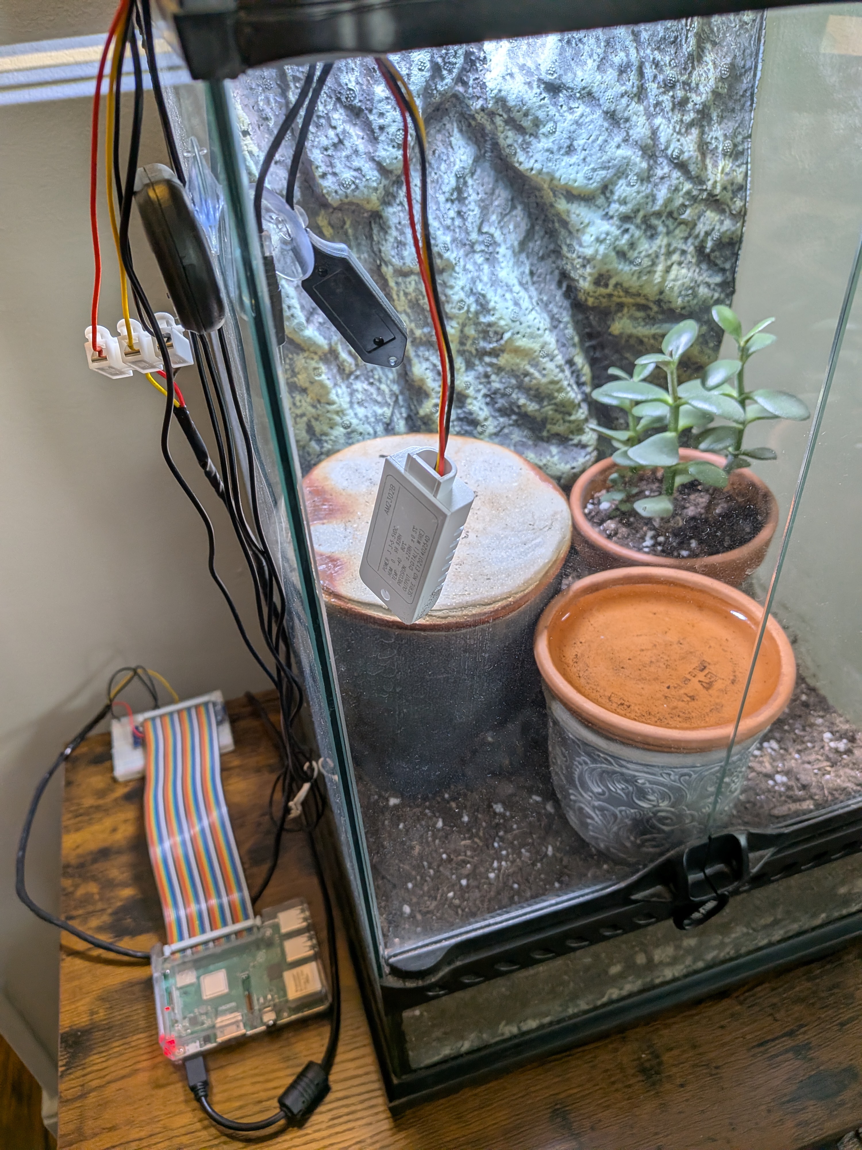 Raspberry Pi with DHT22 sensor in the terrarium